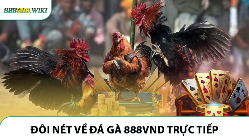 Đôi nét về đá gà 888VND trực tiếp