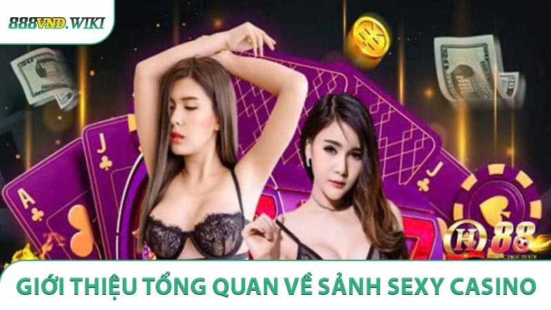 Giới thiệu tổng quan về sảnh Sexy casino trực tuyến